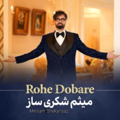 دانلود آهنگ میثم شکری ساز روح دوباره